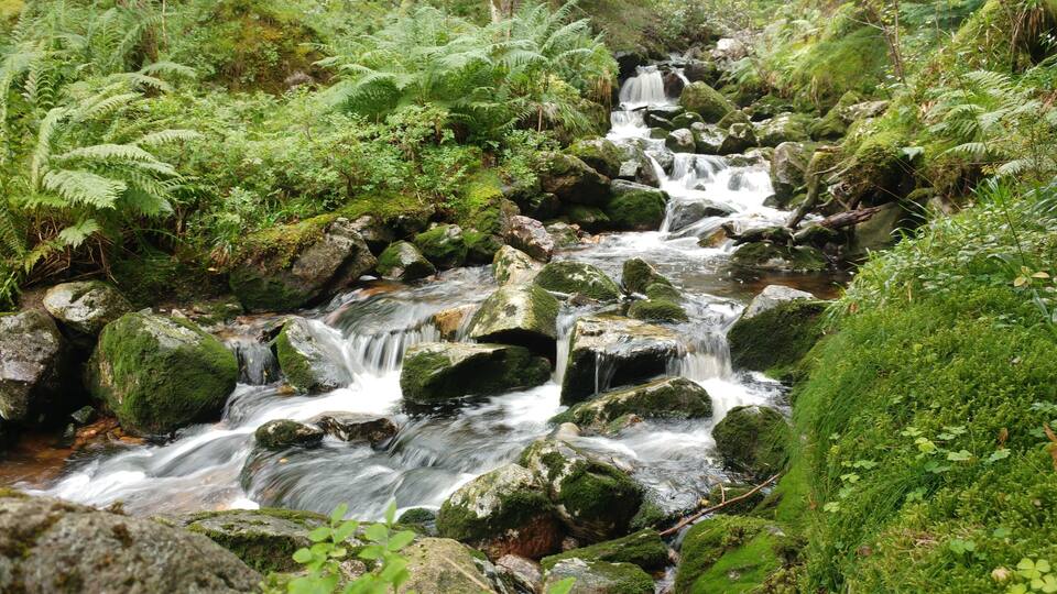 If you choose to do little bit of hiking you will come across this beautiful little waterfall