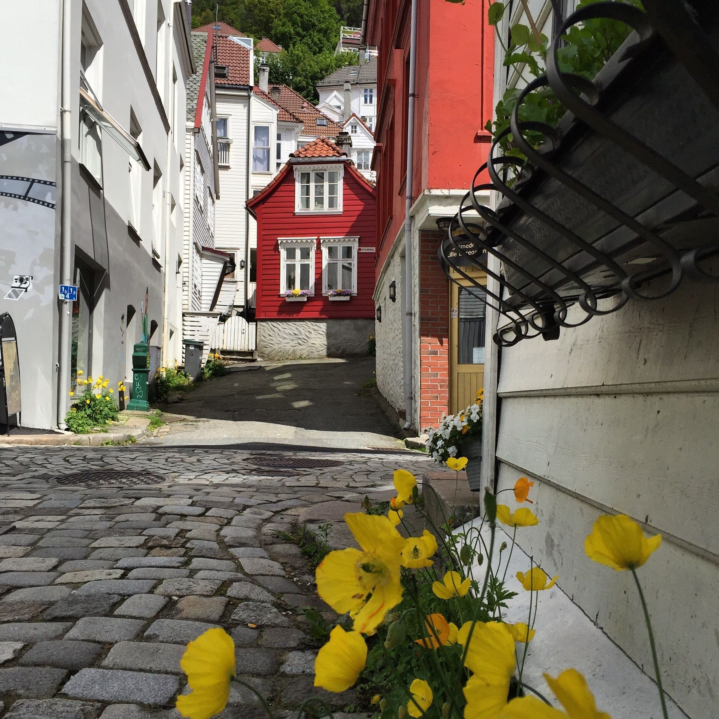 Strolling around Bergen and enjoying the old streets and architecture 