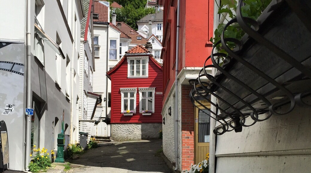 Strolling around Bergen and enjoying the old streets and architecture
