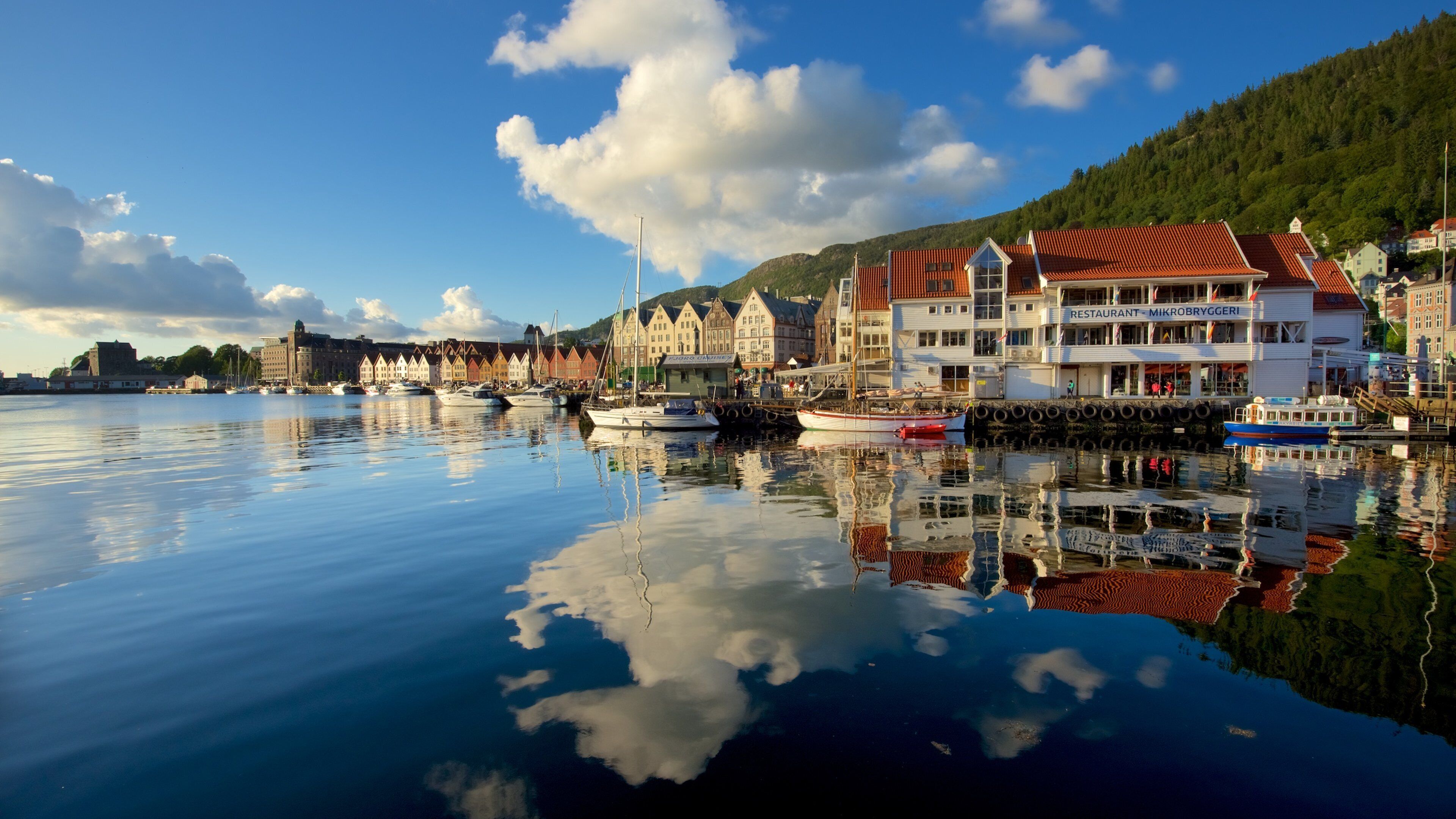 A calm harbor with boats, traditional buildings, and a mountain backdrop.