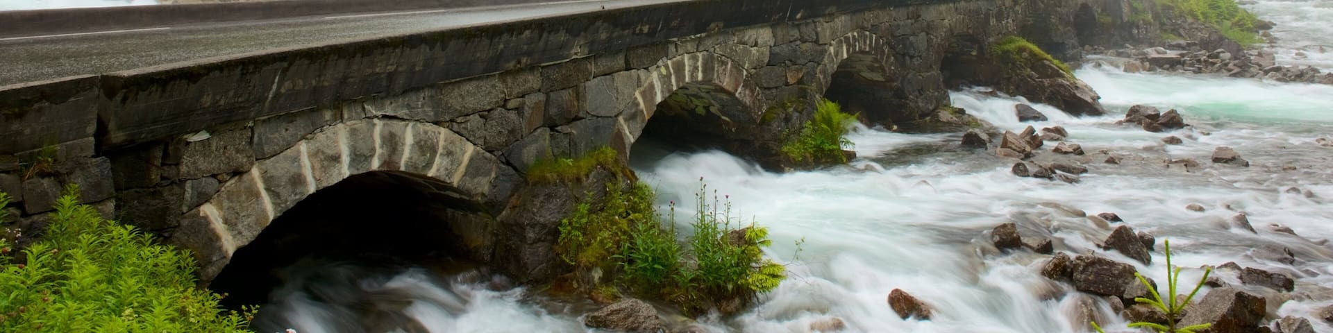 Bergen which includes rapids, a bridge and a cascade