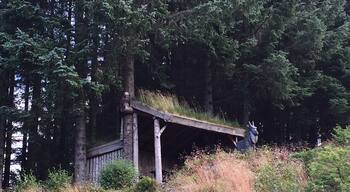 Gapahuk shelter from bad weather