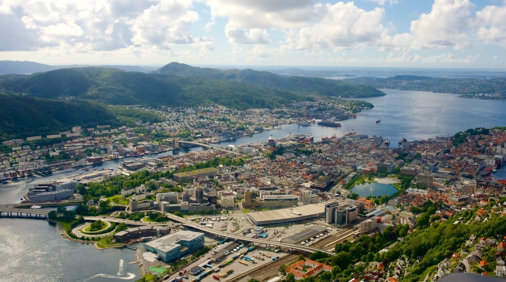 Bergen som omfatter en sø eller et vandhul, udsigt over landskaber og en by