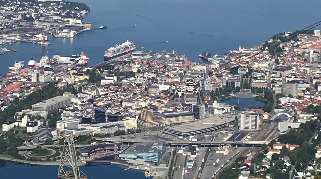 Ride the cable car up to the highest mountain in Bergen (the highest of 7). There are several hikes you can take while up there or you can hike up and ride the cable car down.