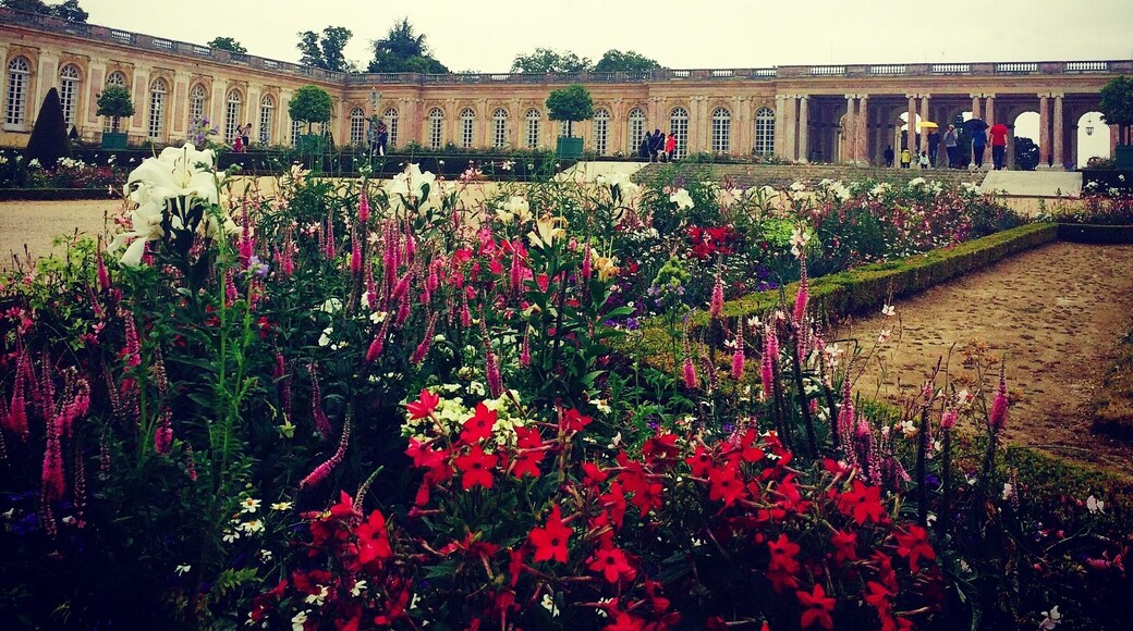 The Grand Trianon was a lovely part of the Versaille Castle park. Much less crowded inside and out than the main palace. This is where the king used to come to just enjoy some peace and quiet away from all the people in the main palace. The garden is lovely and the flowers had such a nice smell. #Paris #Versailles #garden