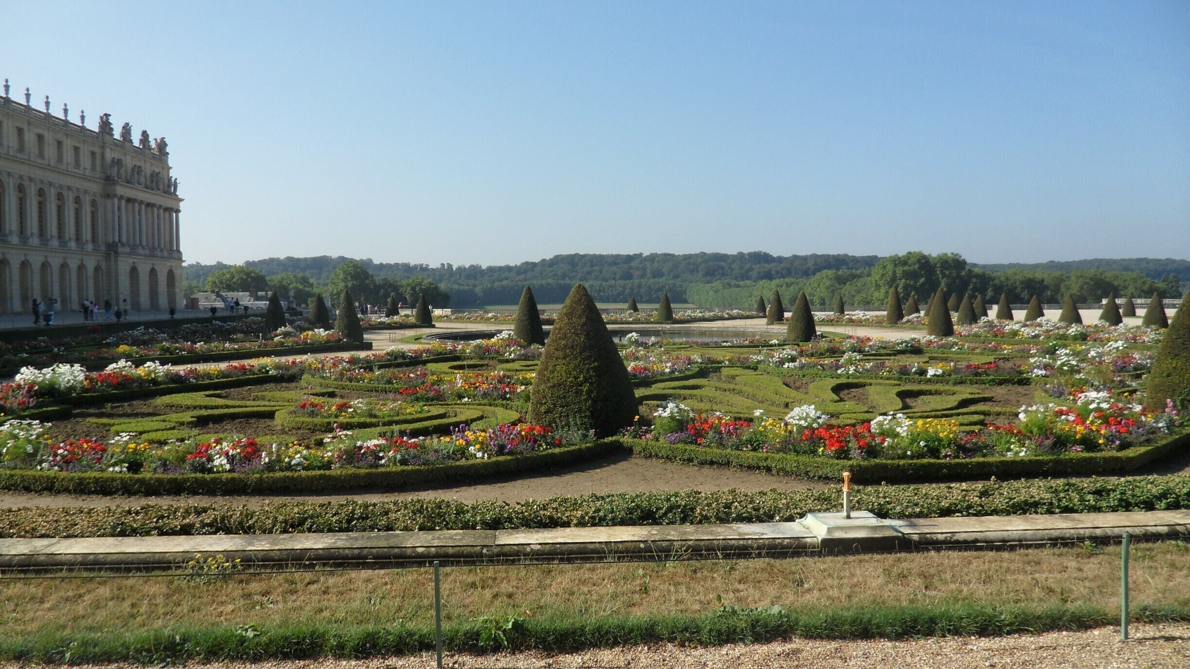 Tiare flower in India 