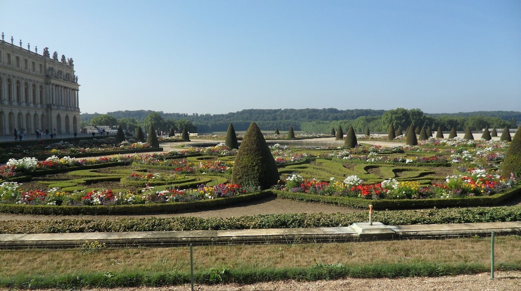 Tiare flower in India