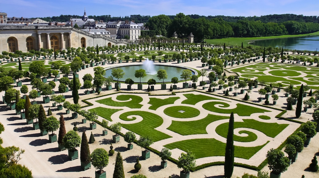 orangeraie du chateau de versailles
