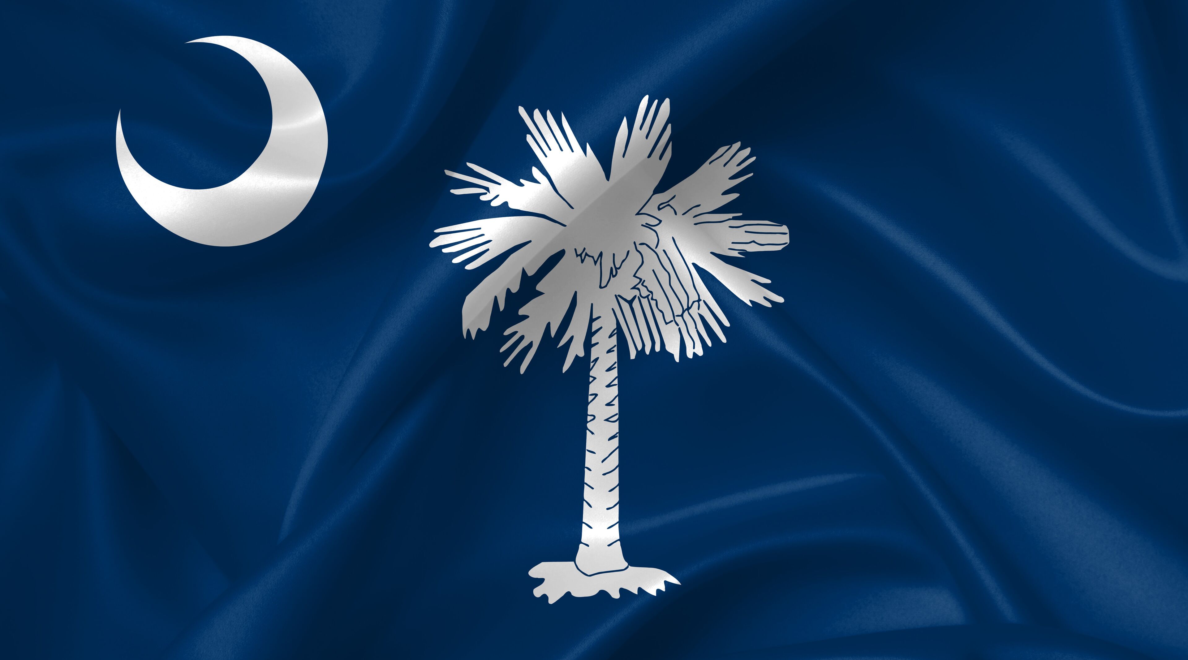 A flag with a crescent moon and palm tree.