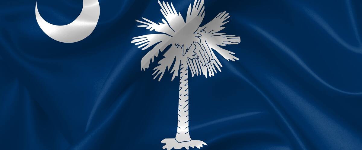 A flag with a crescent moon and palm tree.