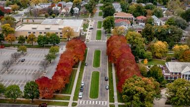 An aerial view of a suburban area with a main road intersecting two tree-lined streets, surrounded by residential houses and a large building in the distance.