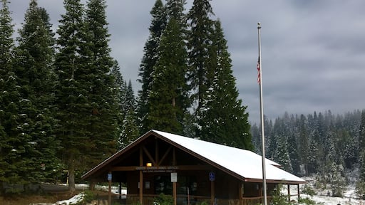 Okay shot but crazy thing...taken on June 11, 2017. Needs coats and hats at 8am. Shorts by noon!!!