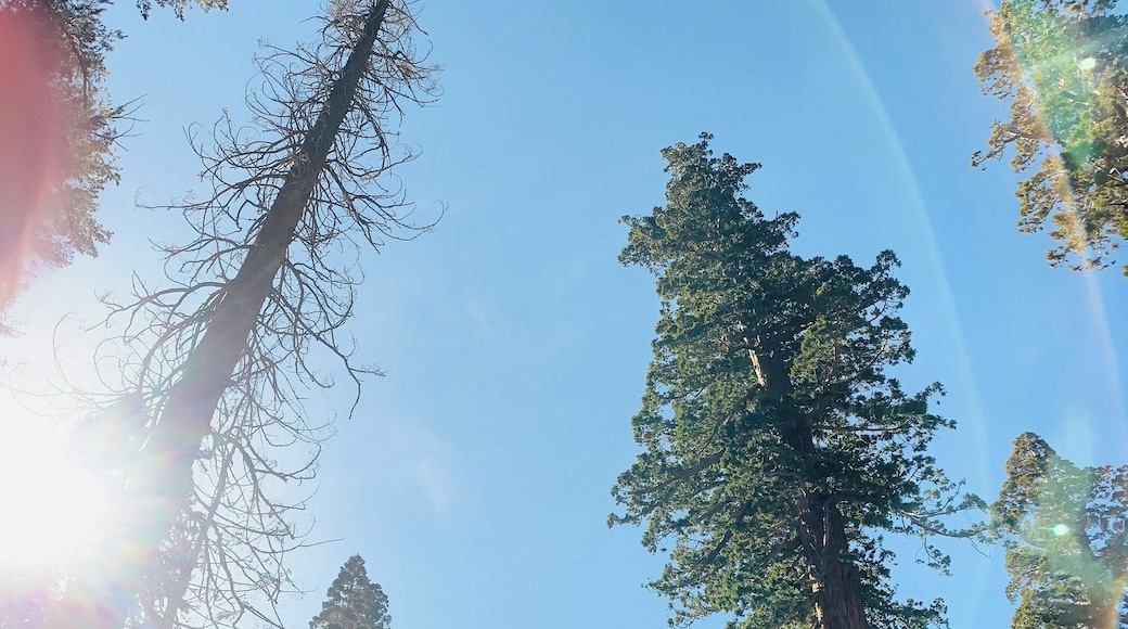 #adventurephotocontest