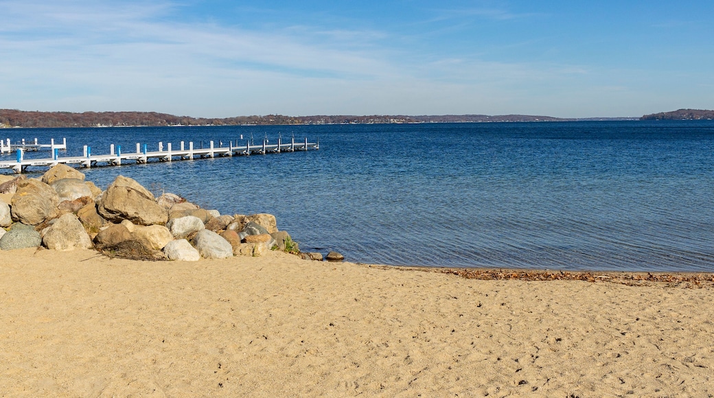 A beach on a northern lake on a clear day.