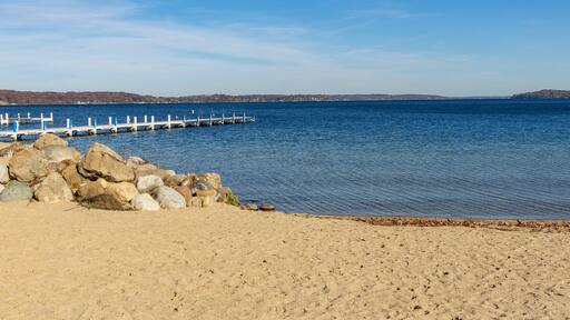 A beach on a northern lake on a clear day.