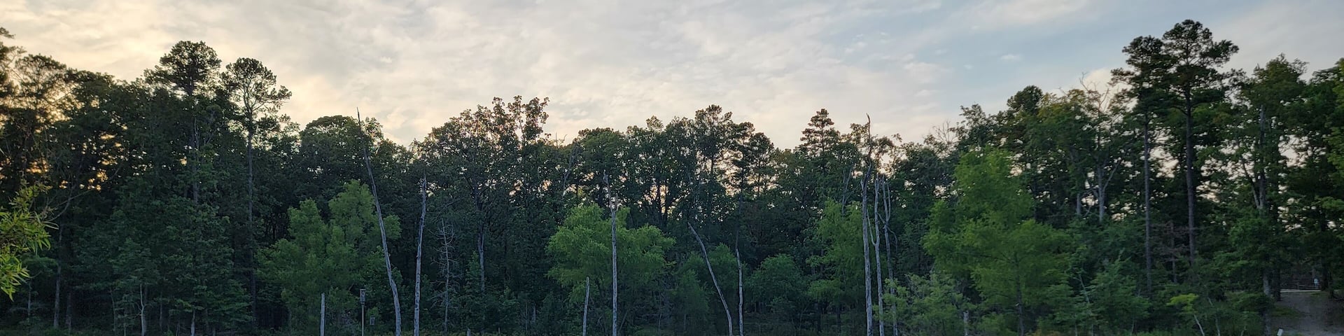 Pier on Pond at Caddo-Womble Ranger Station in Ouachita National Forest