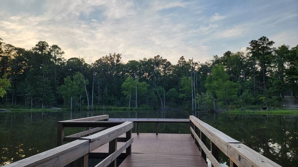 A wooden pier extending into a calm lake surrounded by dense forest.
