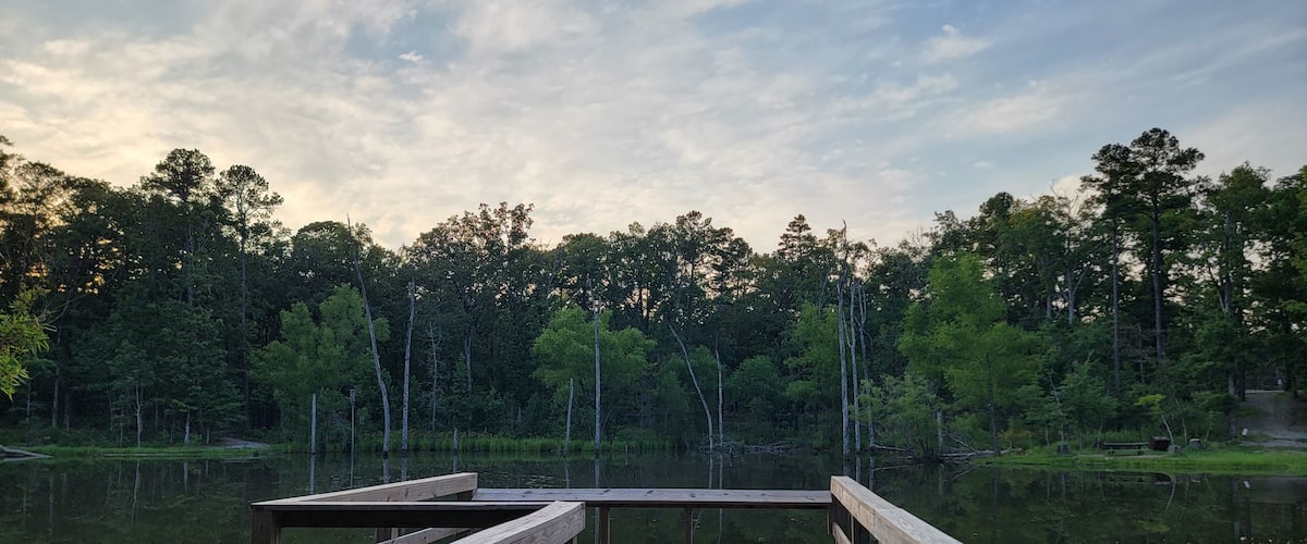 A wooden pier extending into a calm lake surrounded by dense forest.