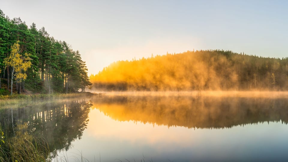 A calm lake with a forested hill reflecting the sunrise.