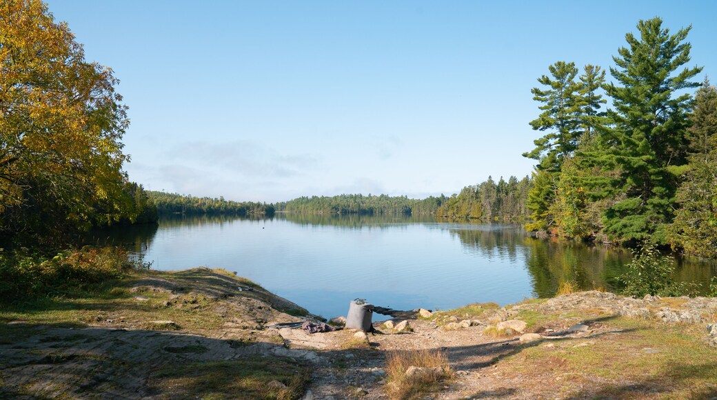 Peaceful Morning on Forest Lake in Early Autumn