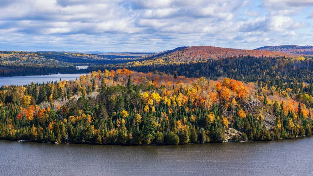 Fall foliage vista of the Superior National Forest. View on Caribou Lake, North Shore of Lake Superior, Minnesota.