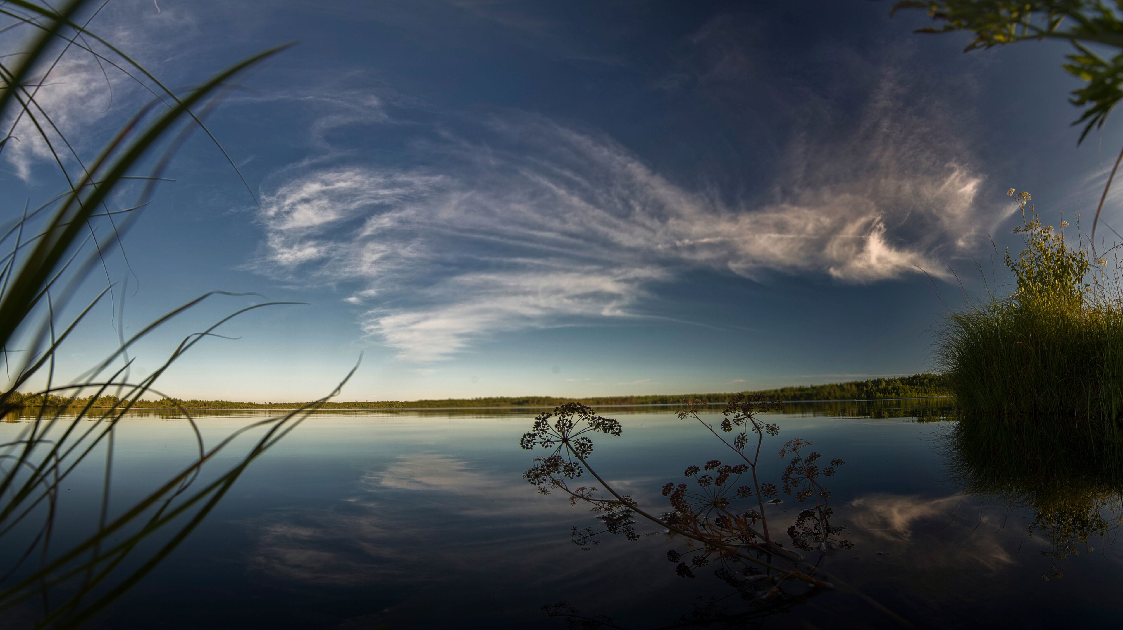 Un lago tranquilo con cielo despejado y árboles a lo lejos.