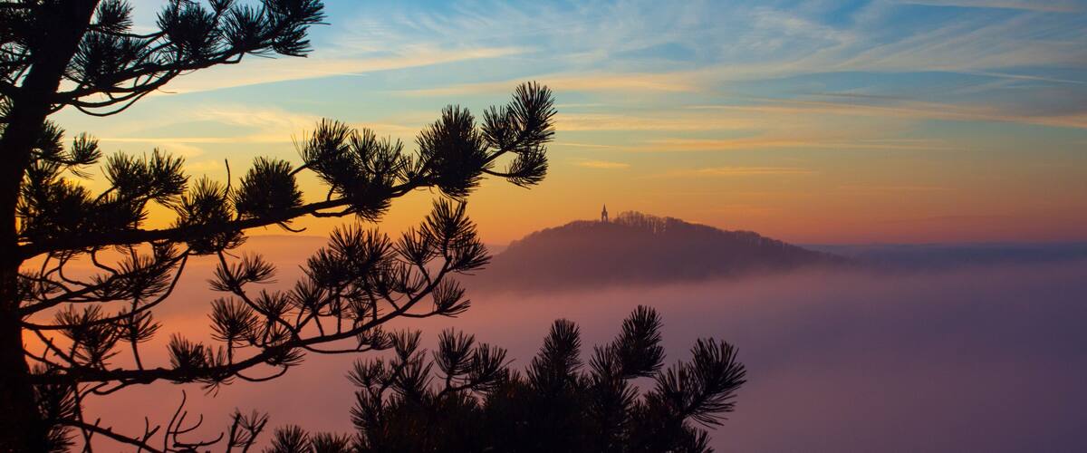 A mountain range at sunrise with pine trees in the foreground.