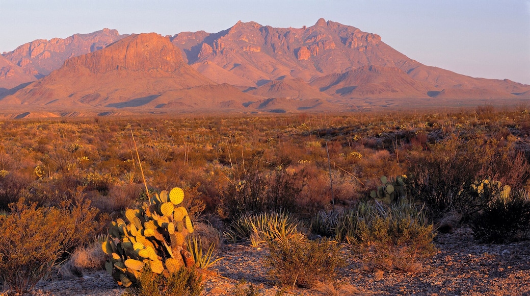 USA, Texas, Big Bend NP. Sunrise brings a rosy hue to the shapes and textures of the Chisos Mountains, in Big Bend National Park, Texas.