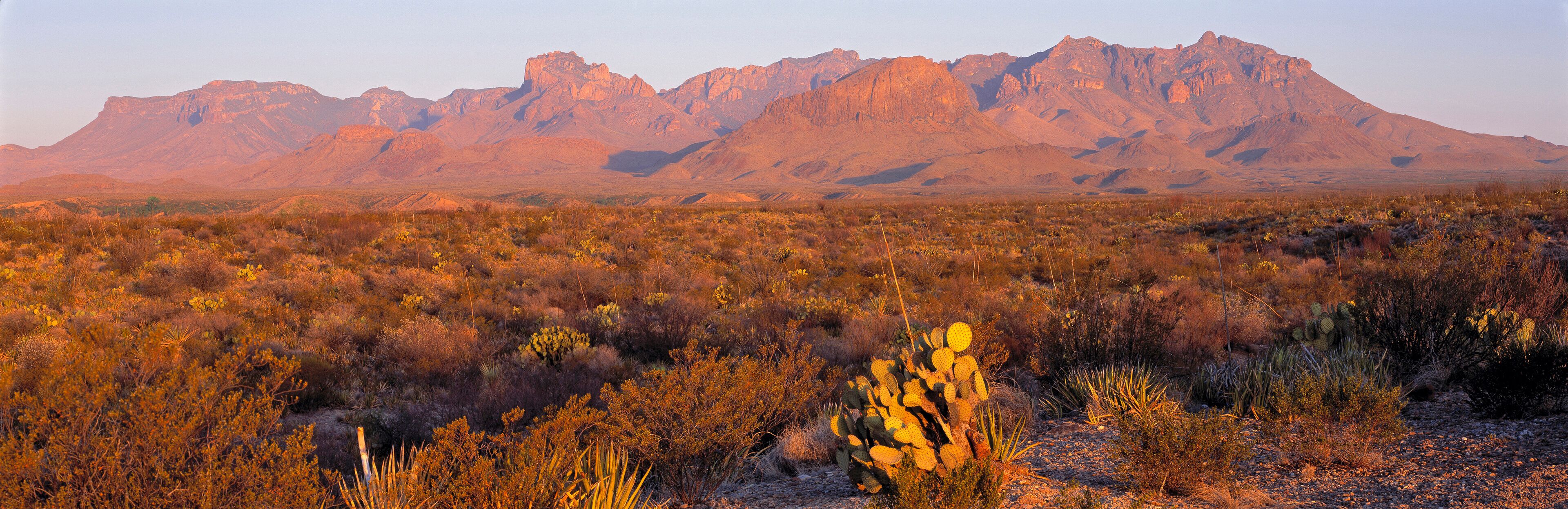 A desert landscape with a prominent mountain range in the background.