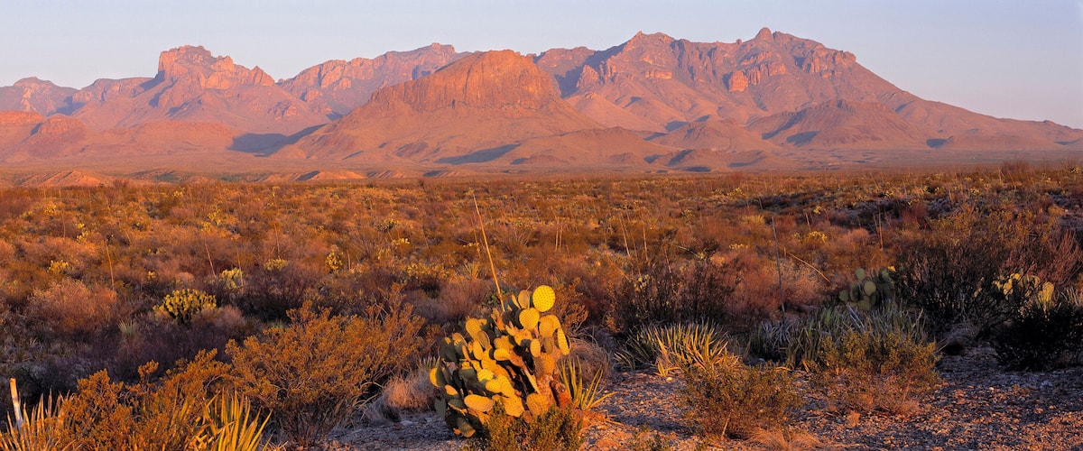 A desert landscape with a prominent mountain range in the background.