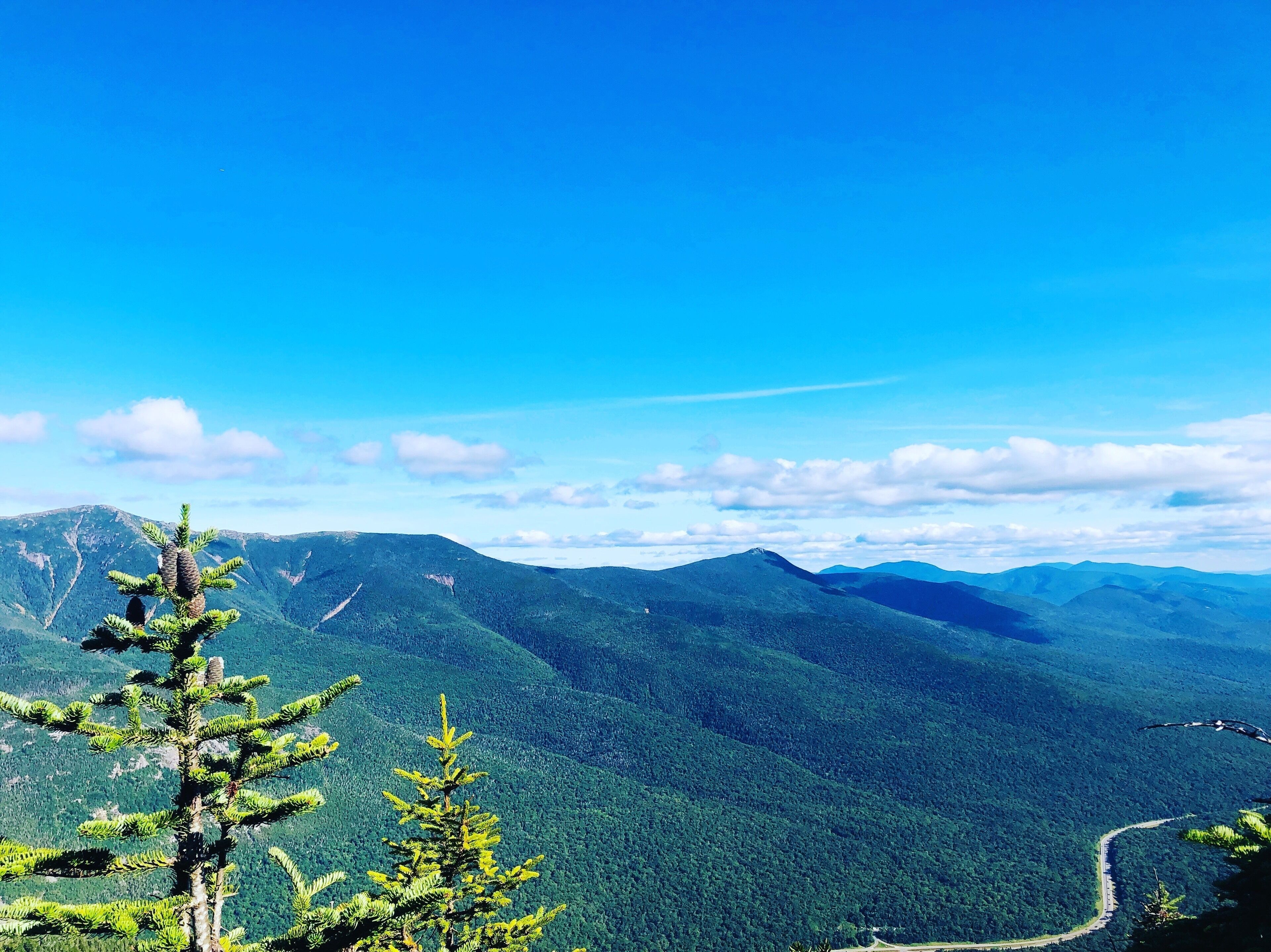A mountainous landscape with dense forests and a clear blue sky.