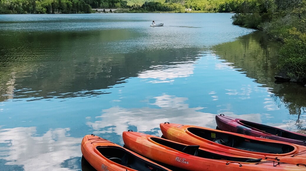 Stunning lake for kayaking and canoeing on. There are lots of places for camping nearby. The rentals are $20 an hour.