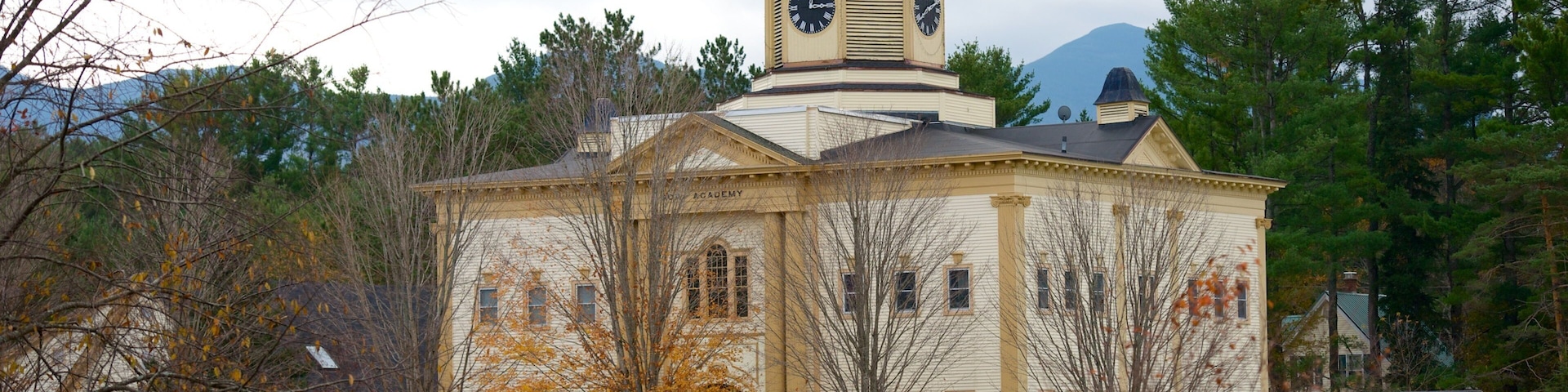 A large, historic building with a clock tower, surrounded by trees and a mountain in the background.