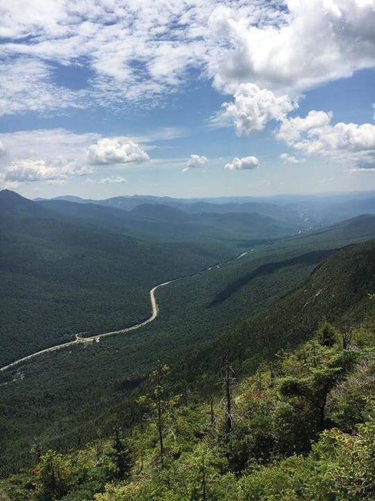 We took the cable car up to the top of thr mountain and found this little look out spot through the trees. 