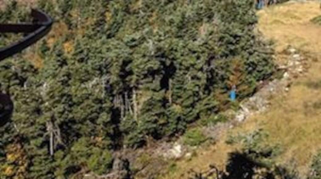 Cannon Mountain Tramway; Franconia, New Hampshire
Took the tramway up the 4000 ft Cannon Mountain and was treated with spectacular views. Despite it being a gorgeous fall day, prime leaf-peeping season, the 80 person tram only took a couple minutes to travel up or down and for about $13 per adult, it is well worth it. They do offer one way tickets for those willing to hike the other direction. There is a snack bar at the top but it was very crowded. The bar wasn't as crowded but only offers beer and drinks.