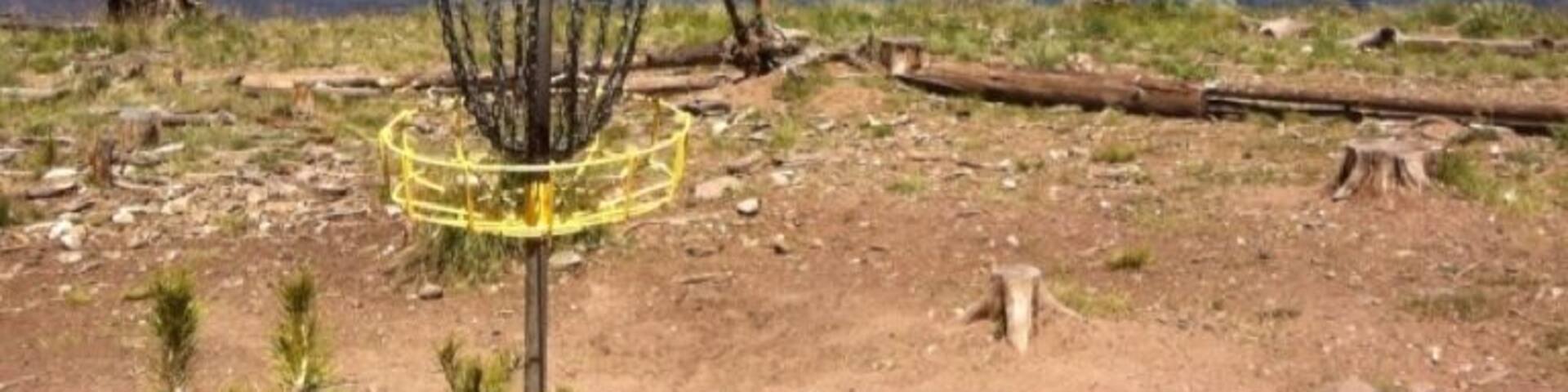 A great disc golf course with beautiful views!