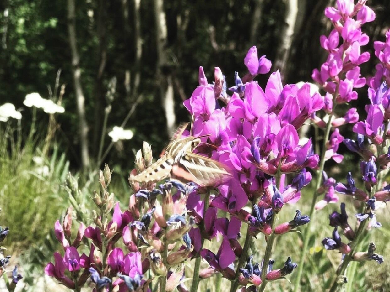 Beautiful place to disc golf!