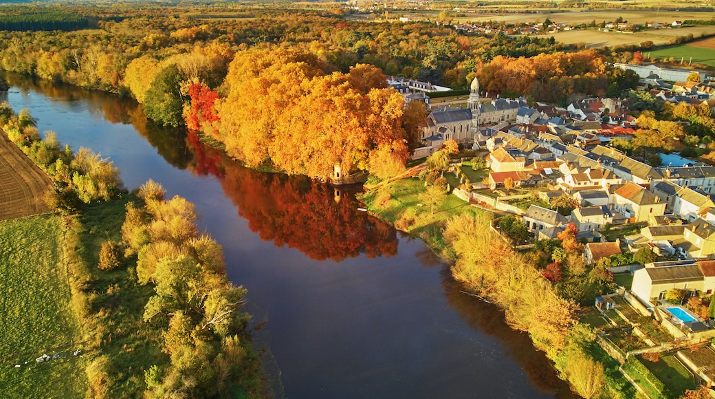 Autumn forest and river Vienne near medieval castle of Les Ormes, France