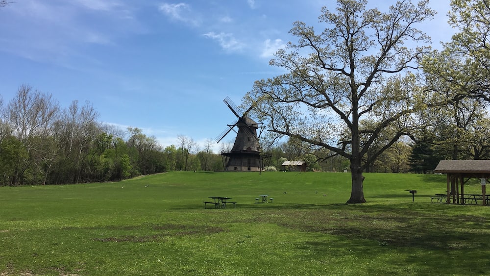 A windmill, picnic tables, and a large tree in a grassy field.