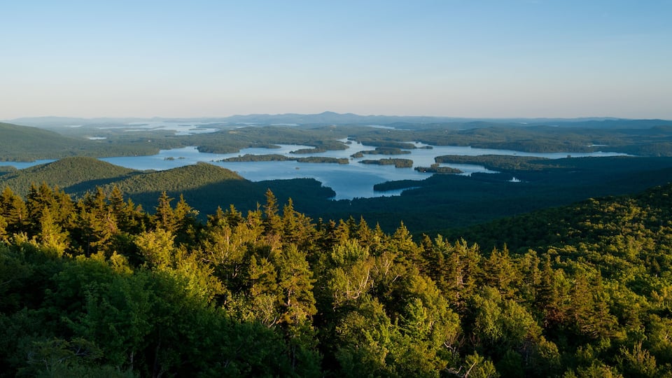A dense forest with a lake surrounded by hills.