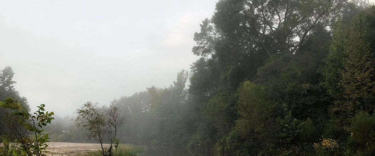 A river with dense trees on one side and a sandy bank on the other.