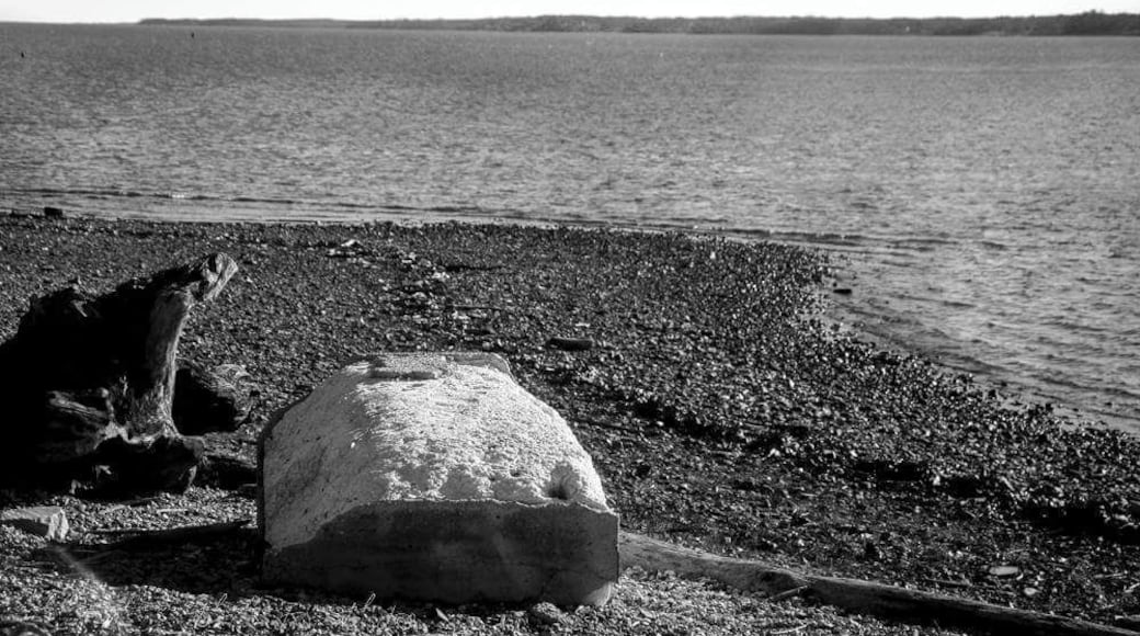 A great little lake and beach area in the Land Between the Lakes....