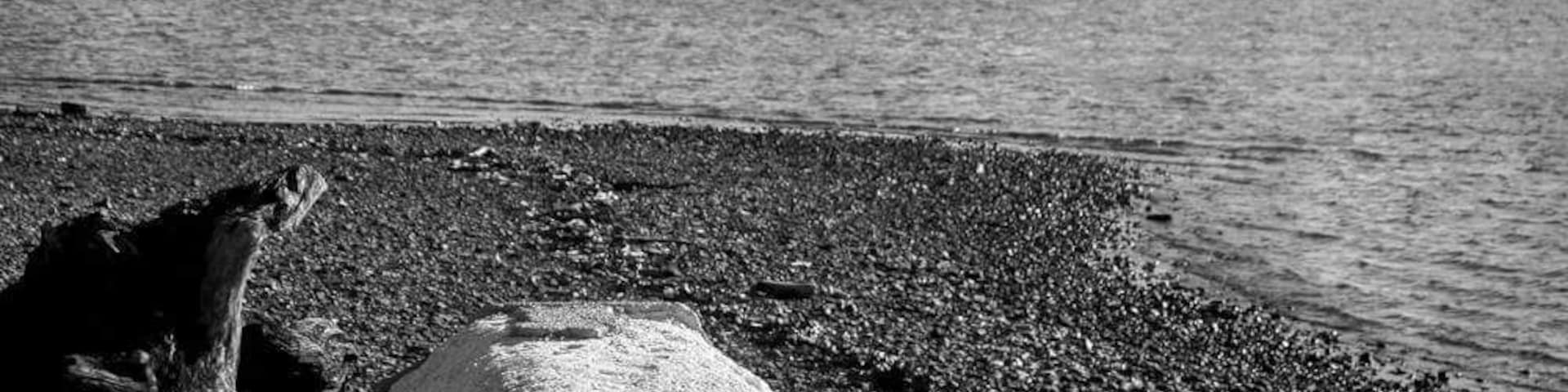 A great little lake and beach area in the Land Between the Lakes....