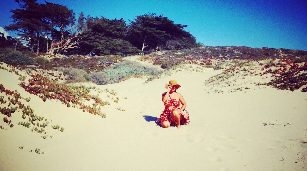 Miles and miles of dunes! Great place to fly a kite and watch wind surfing on a breezy day. Rent a sand vehicle and get a little rowdy with the local "Sand People!"