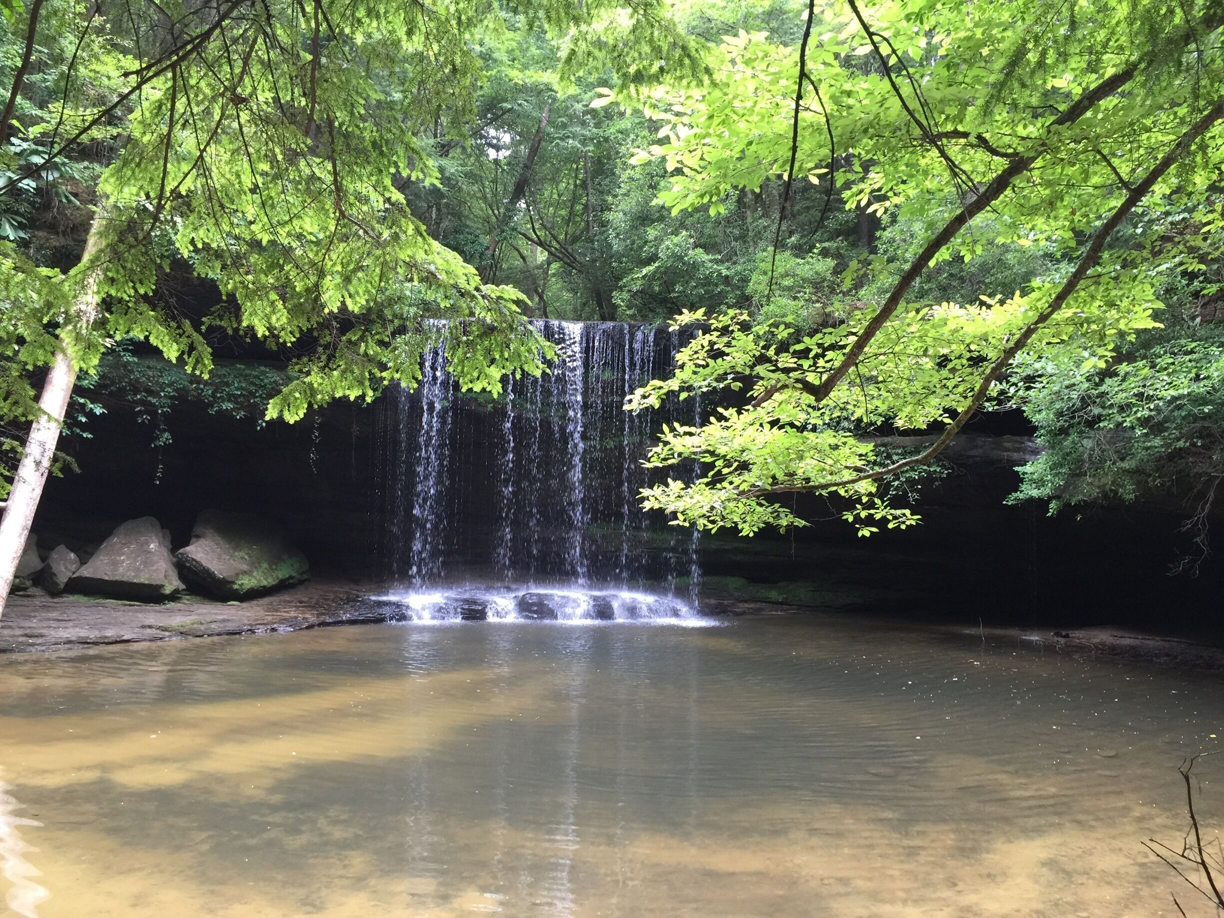 A waterfall surrounded by lush green trees.