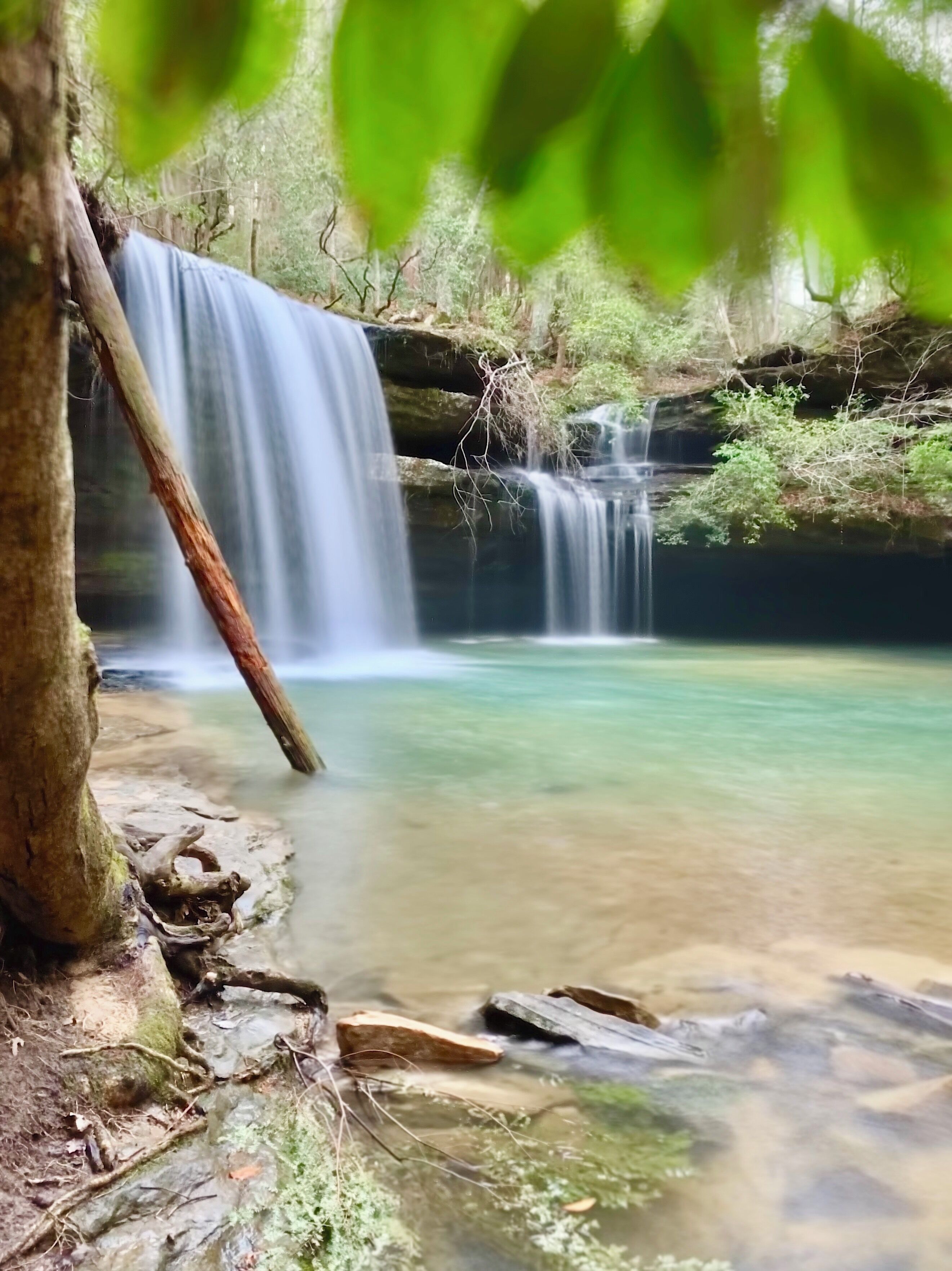 Caney Creek Falls- Stopped by this favorite falls on my way back from visiting my daughter at college and found out the area and beginning of the trail has recently been logged.  Once you get passed the logging area it goes down to the beautiful canyon below. Still love this scene.