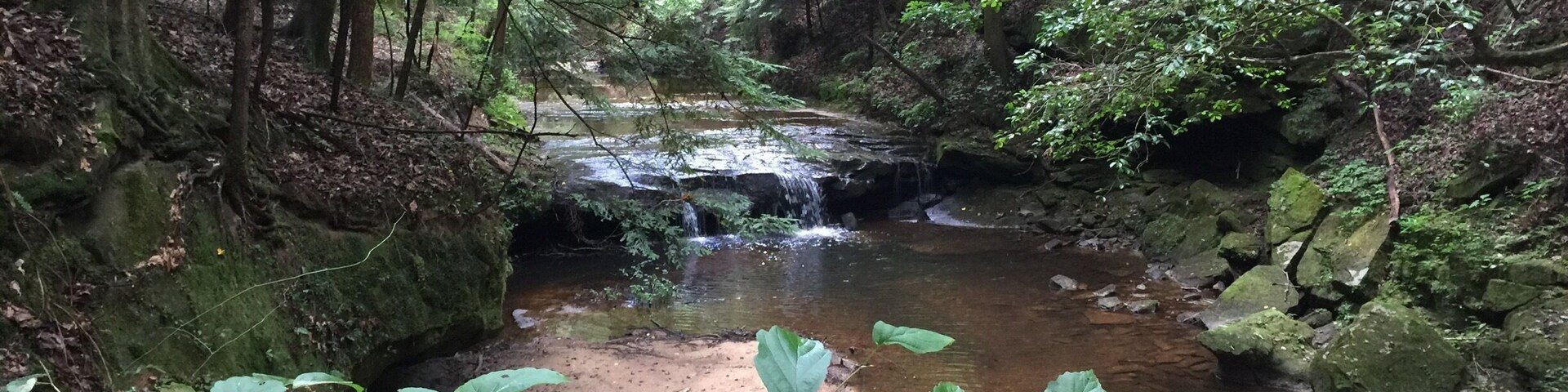 Visit Frugal Family Travelers blog to learn more about this great location, to receive the travel itinerary and to discover more great places like this:
Trail to Turkey Creek/Mize Mills Falls!
http://www.frugalfamilytravelers.blogspot.com/2015/07/national-forests-are-national-treasures.html?m=1
Follow us on:
Facebook: https://www.facebook.com/frugalfamilytravelers?ref=hl
Twitter: @FrugalFamTrav