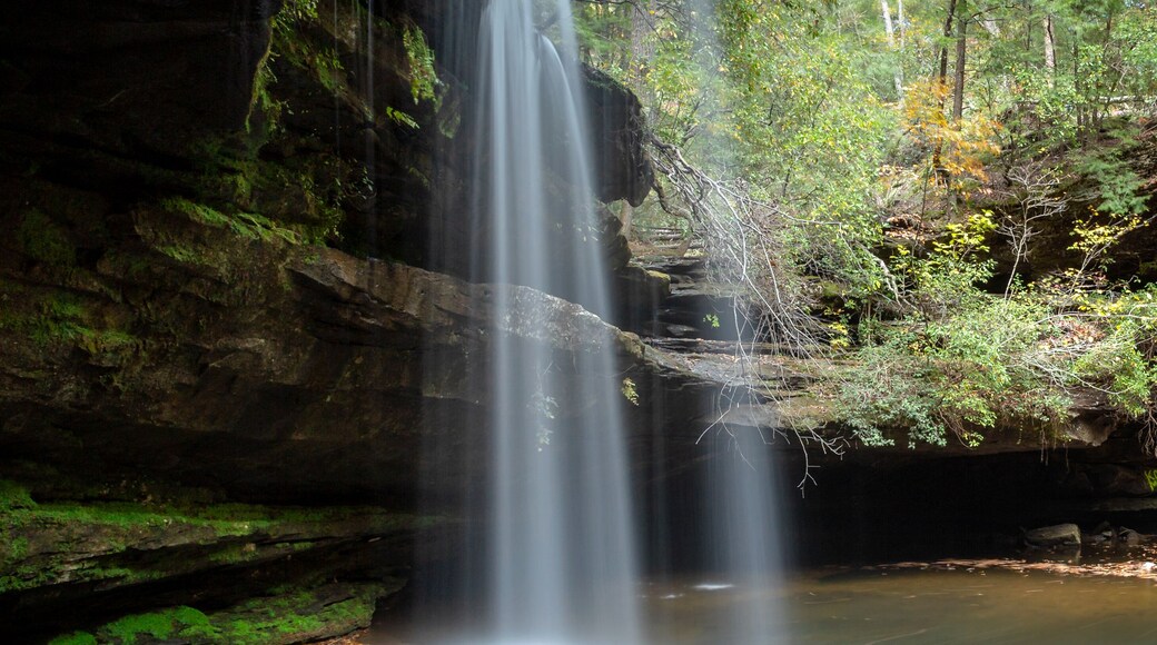 So quiet and special. wonderful set of falls
#BVS100k #waterfall #landscape #water #alabama #travel #fall #autumn #river #explore #hike