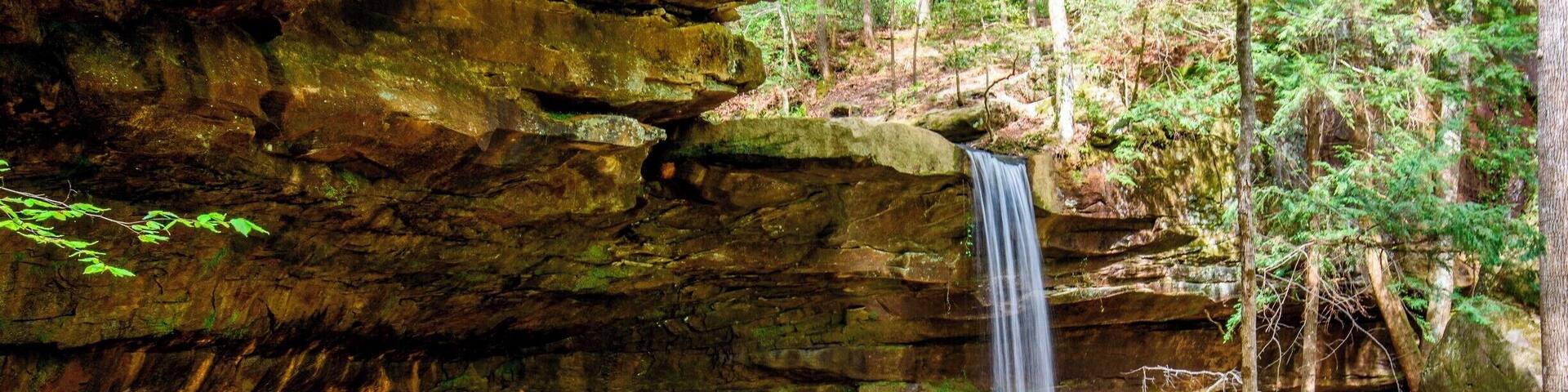 A waterfall cascading over rocks in a forested area.