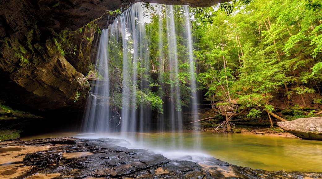 It is a really short trail of about one mile (one way) to the waterfall.